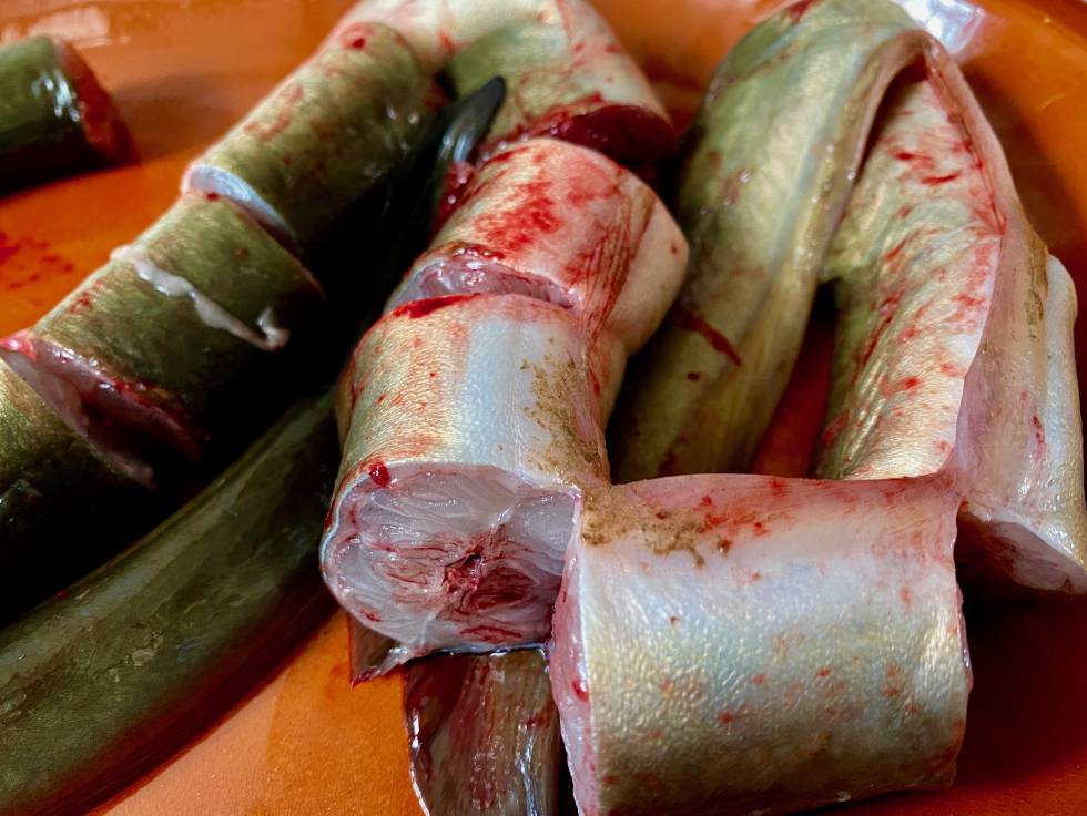 Dos recetas con anguila en la Albufera de Valencia