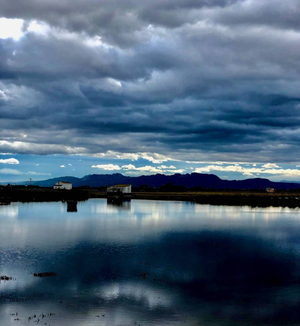 Dos recetas con anguila en la Albufera de Valencia