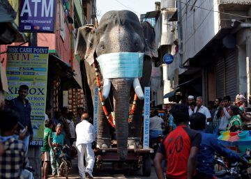 La controvertida respuesta de India al coronavirus