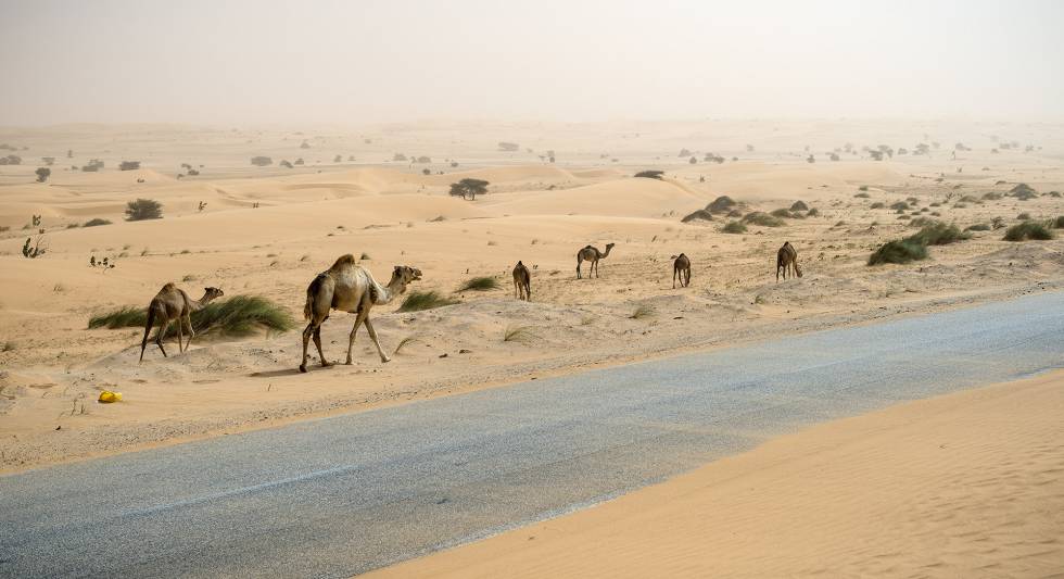 La carretera del desierto