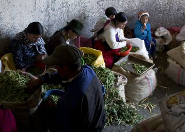 Los estibadores de San Roque piden ayuda Los estibadores de San Roque piden ayuda