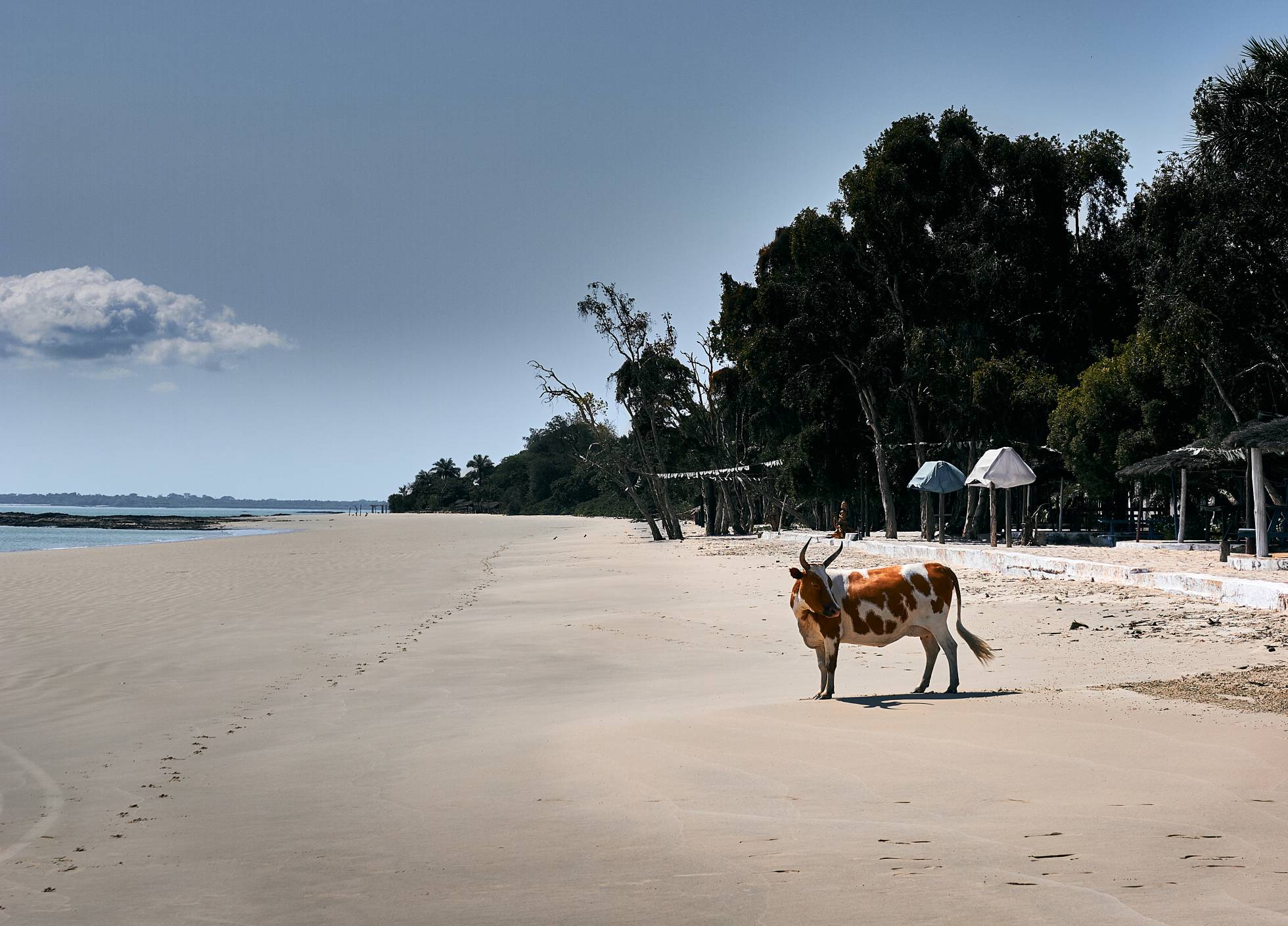 Bubaque, la isla que ya estaba (casi) aislada