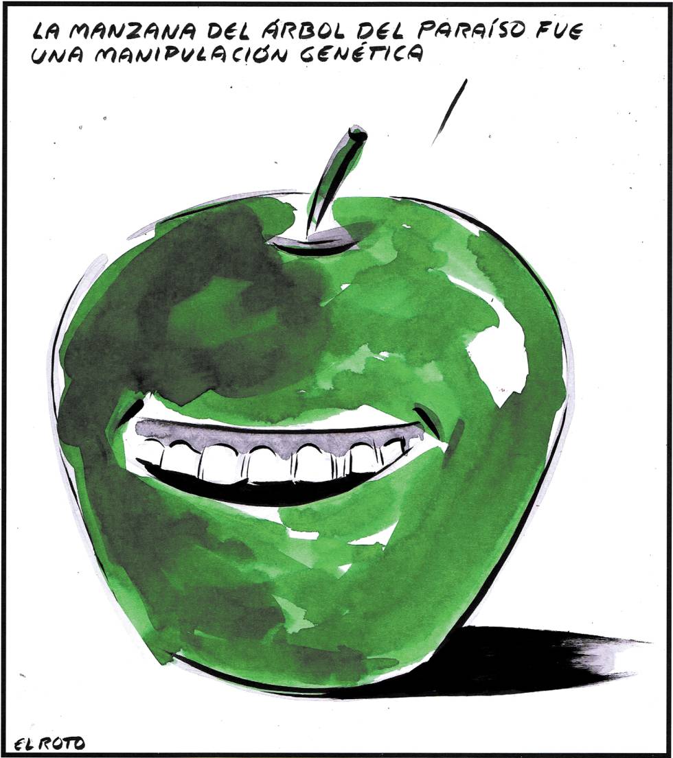 El Roto