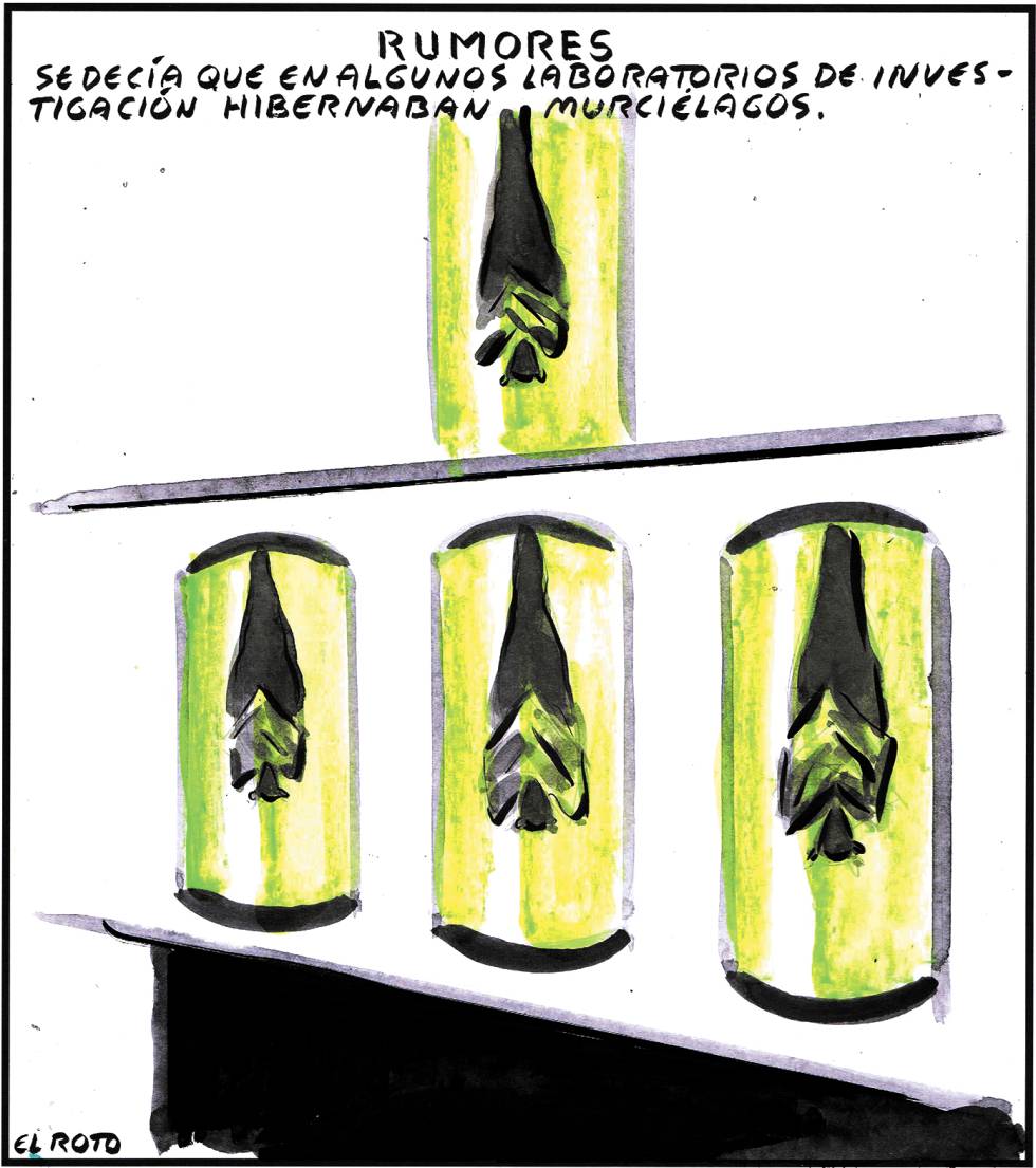 El Roto