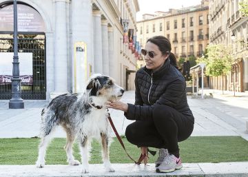 Retrato de 39 perros con sus dueños