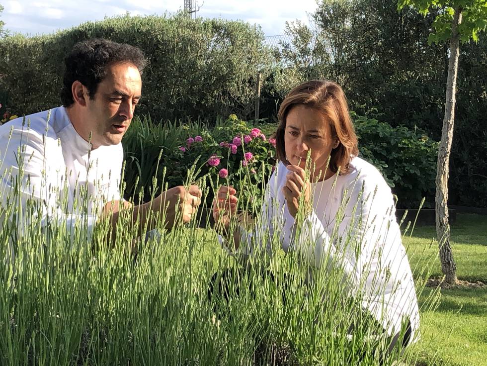 Angelines y Fernando Sáenz, la naturaleza en cucuruchos y tarrinas