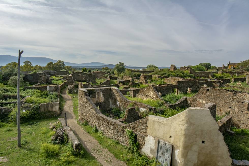 granadilla