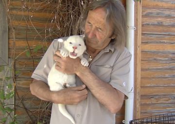 El primer león blanco nacido en España, rechazado por su madre El primer león blanco nacido en España, rechazado por su madre