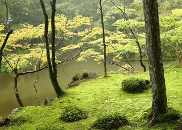 El paisaje prestado El paisaje prestado
