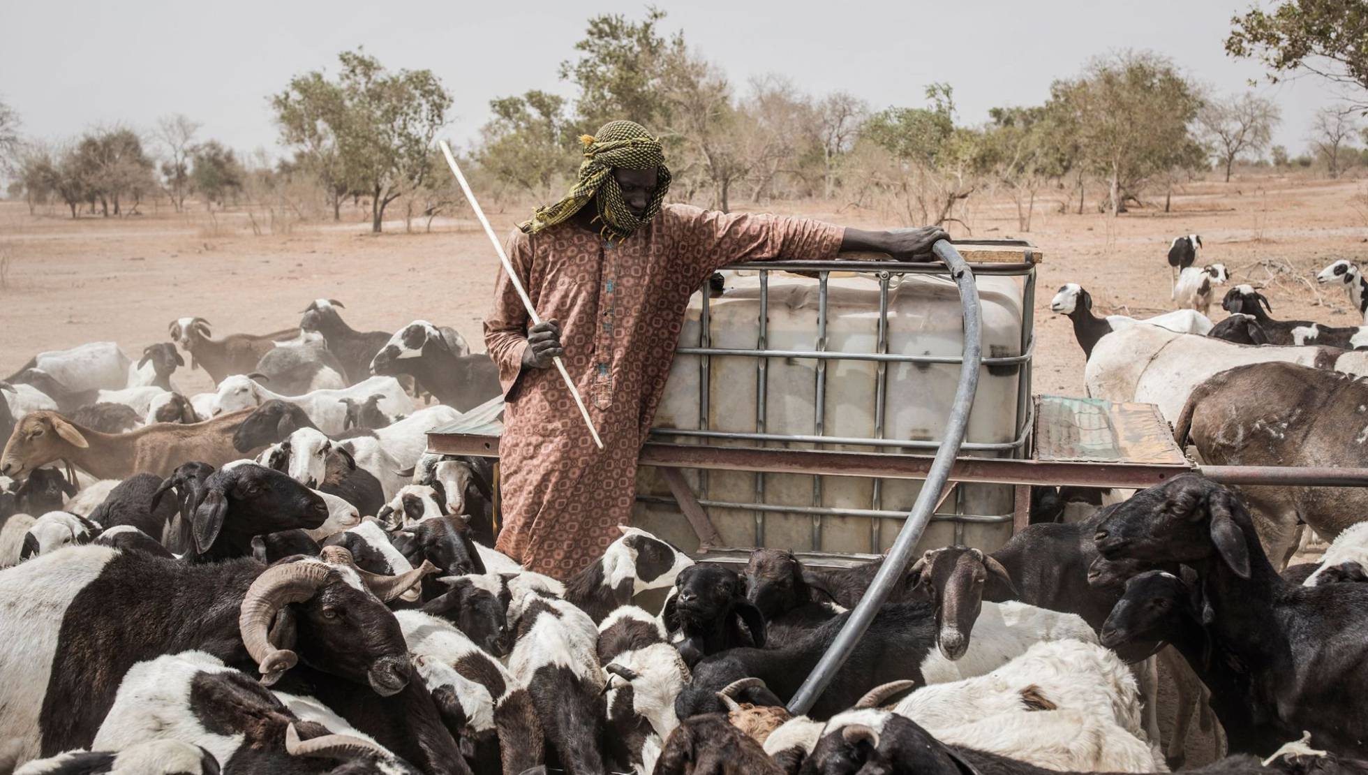 Los fulani de Senegal, acosados además por el coronavirus
