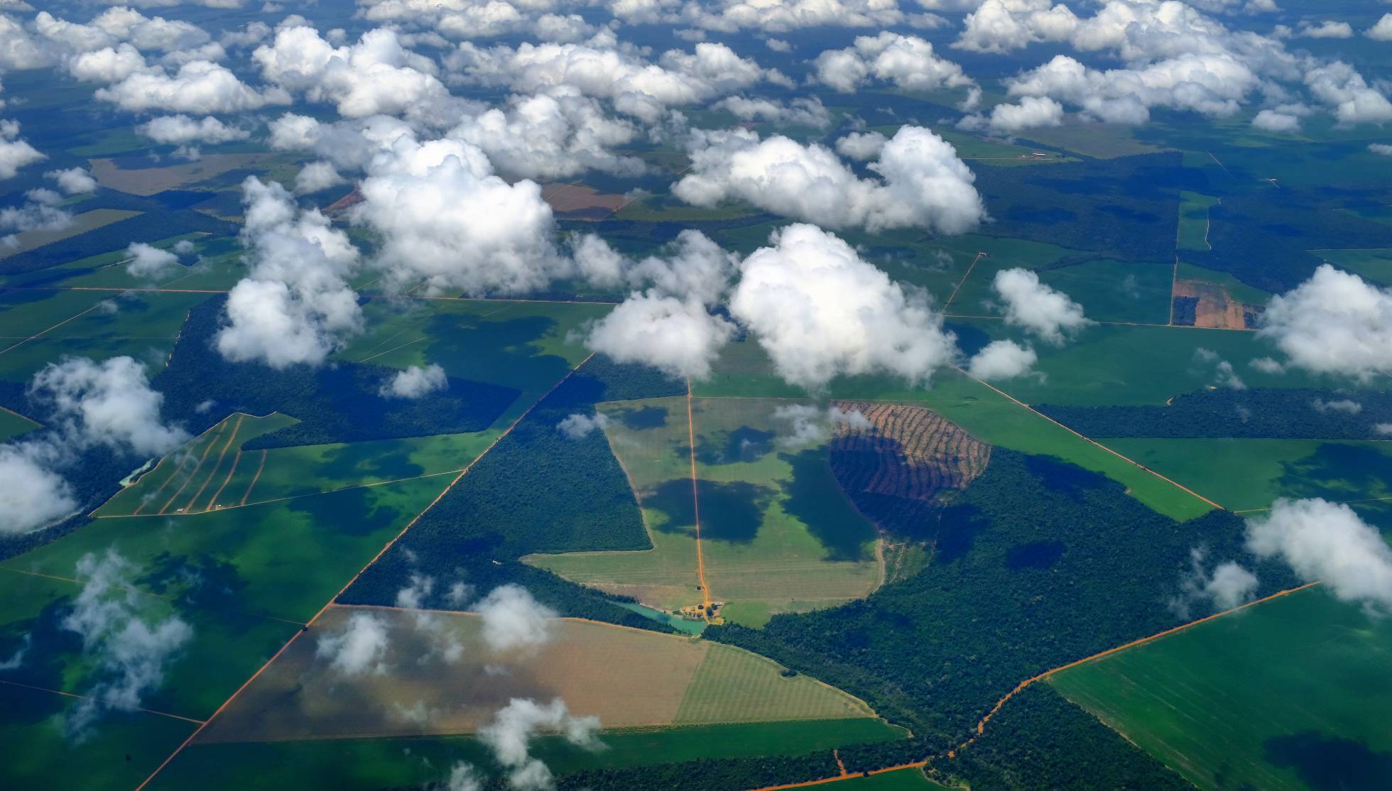 Sinop, selva deforestada, prosperidad y monocultivos