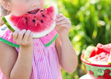 Seguridad alimentaria en casa: errores comunes en la compra y en la conservación y manipulación de la comida Seguridad alimentaria en casa: errores comunes en la compra y en la conservación y manipulación de la comida