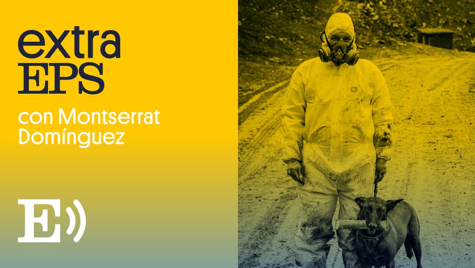 Podcast | El enigma de Zaldibar