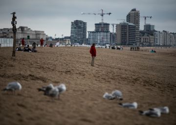 El verano más extraño de Europa