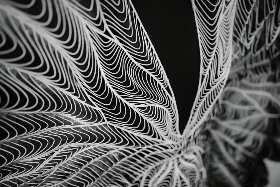 Detalle de un vestido.