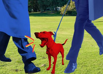 Consultorio ICON: “Creo que tengo un perro racista. ¿He hecho algo mal?” Consultorio ICON: “Creo que tengo un perro racista. ¿He hecho algo mal?”