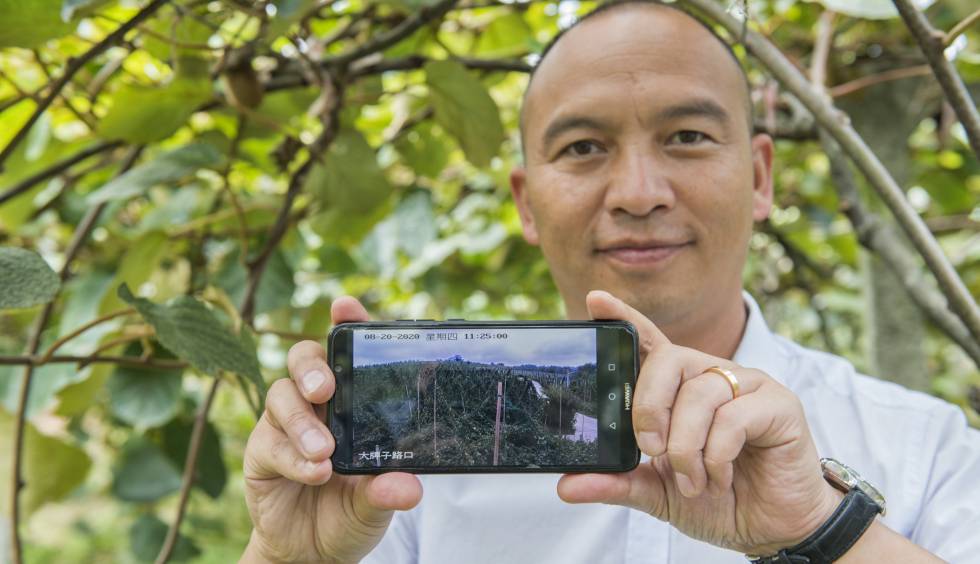 El 5G, el otro gran aliado en el campo