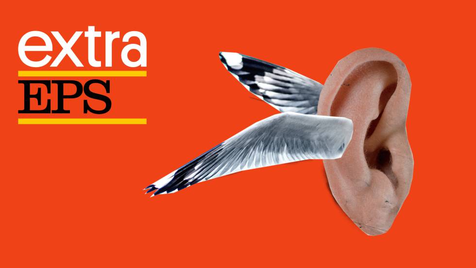Podcast | El ‘podcast’: nueva criatura digital de masas