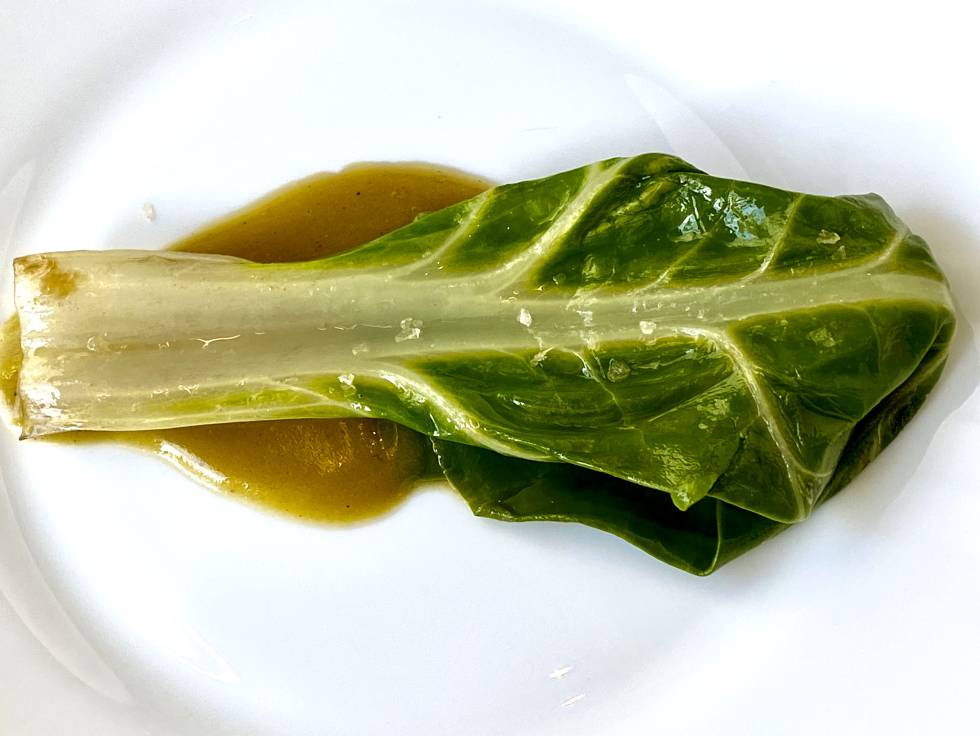 Acelga blanca sobre salsa de lechugas.