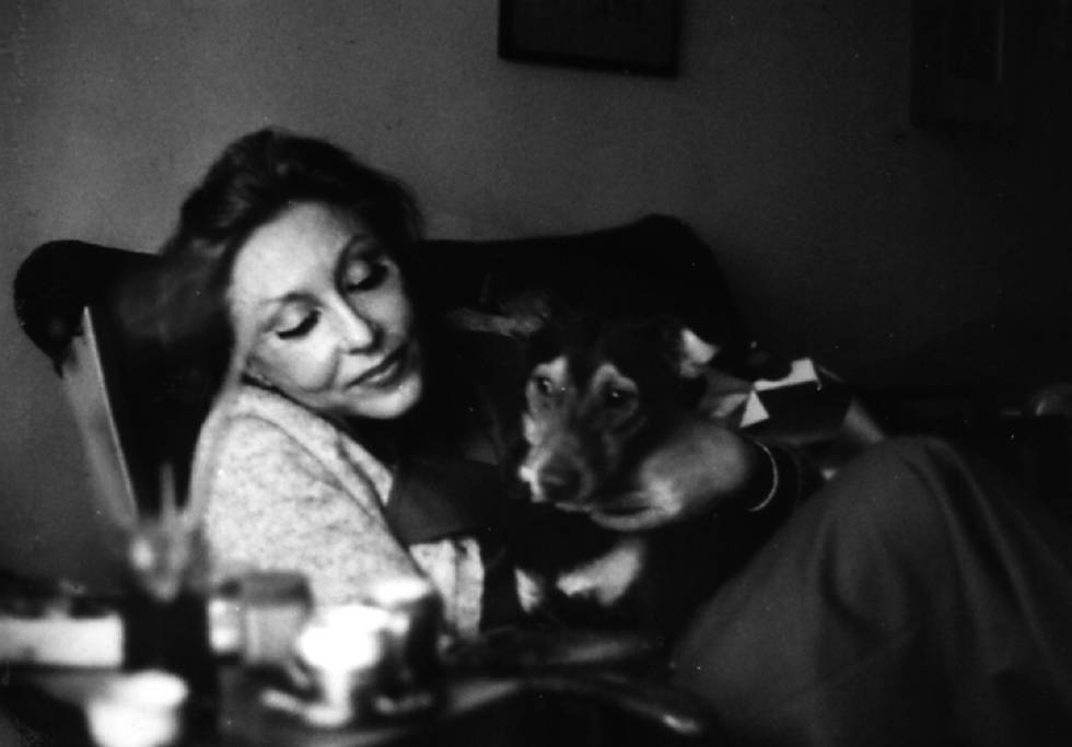 A biblioteca de segredos de Clarice Lispector