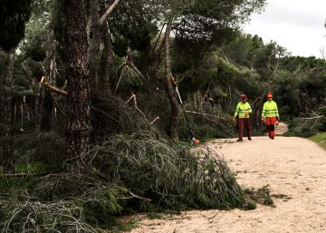 Los destrozos del temporal ‘Filomena’ en la Casa de Campo, en imágenes Los destrozos del temporal ‘Filomena’ en la Casa de Campo, en imágenes