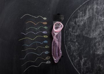 Educación sexoafectiva, materia obligatoria