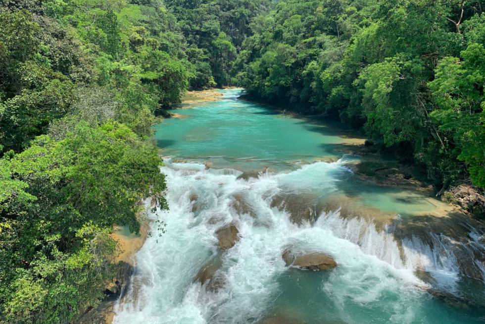 La selva Lacandona: un paraíso amenazado