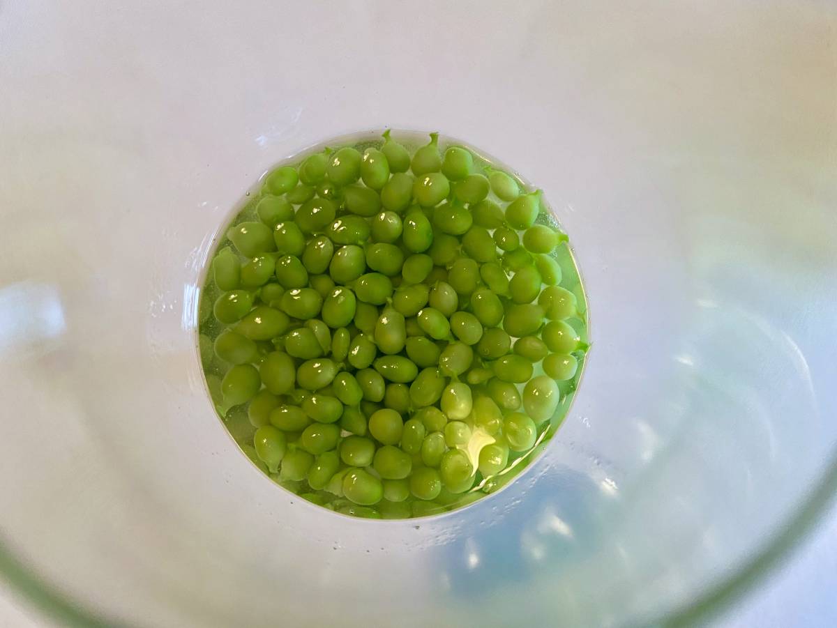 Sorbo, lagrimas verdes. Guisantes lágrima en copa. J.C. CAPEL