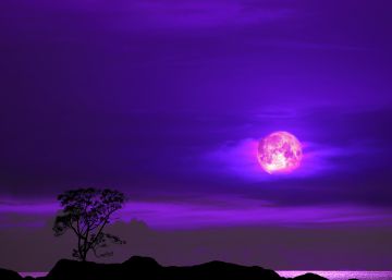 Dónde y cuándo ver la última superluna del año