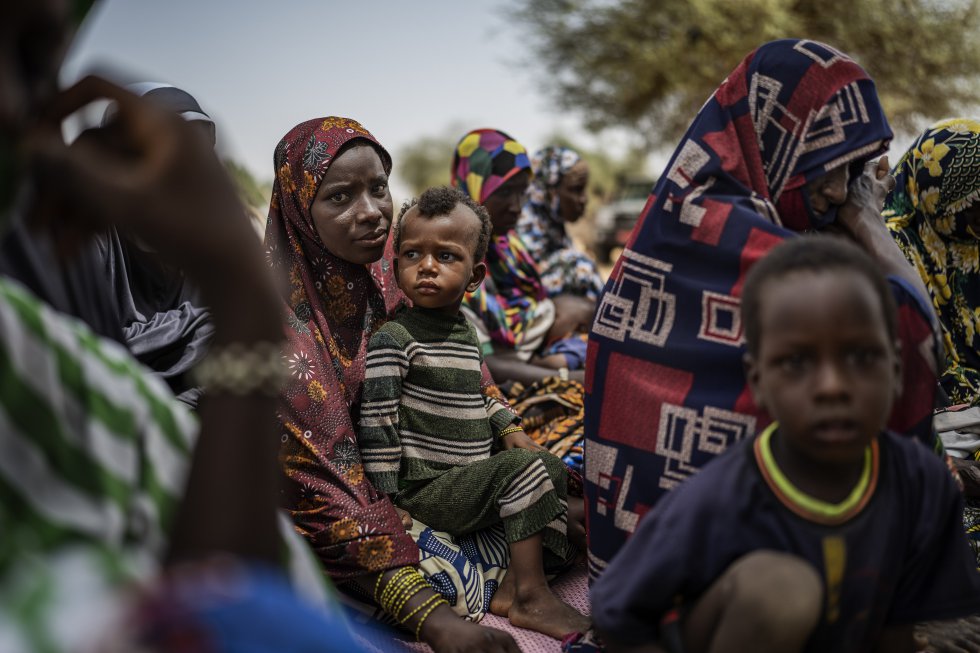 Niger Sahel