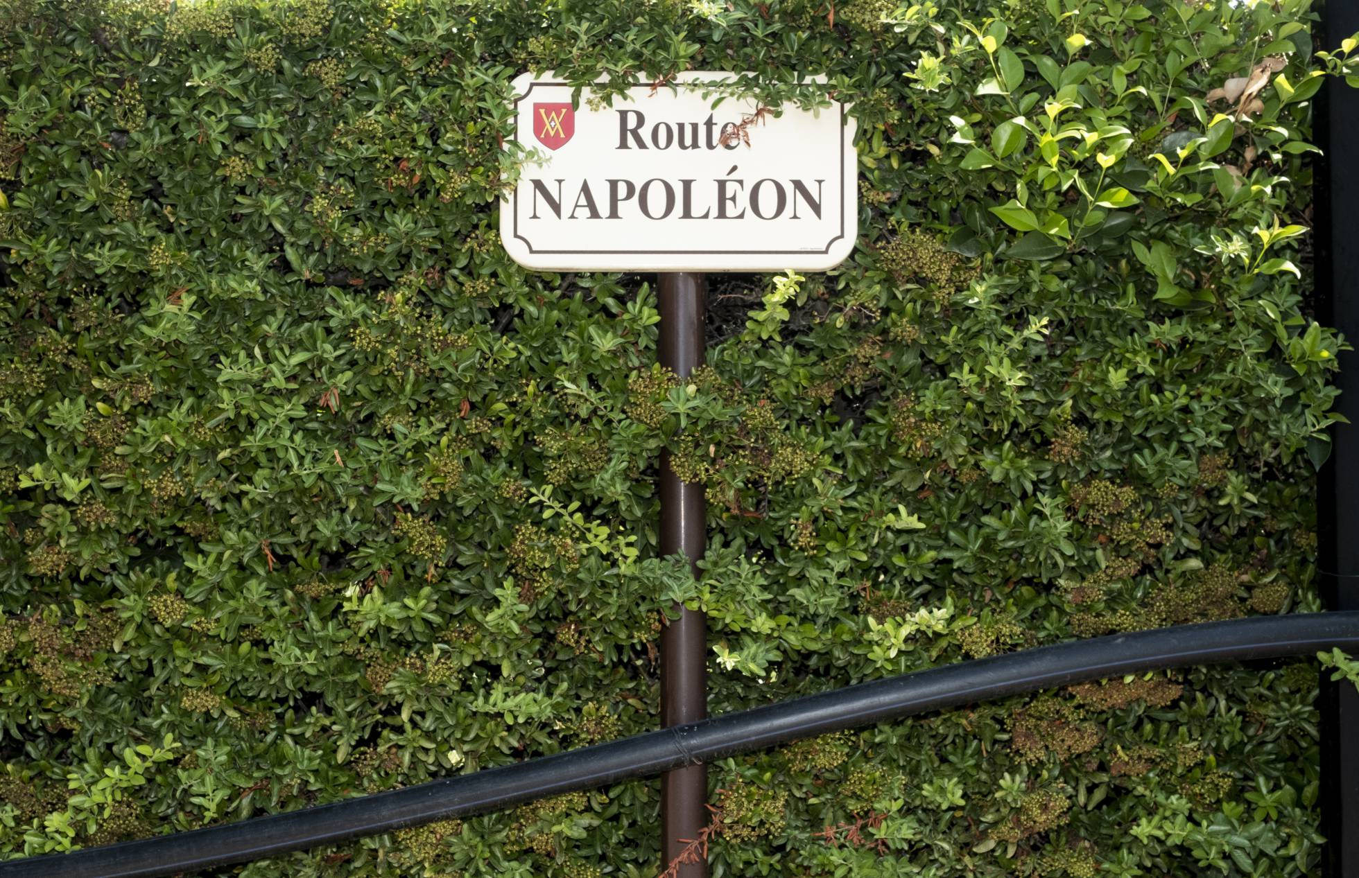 napoleón