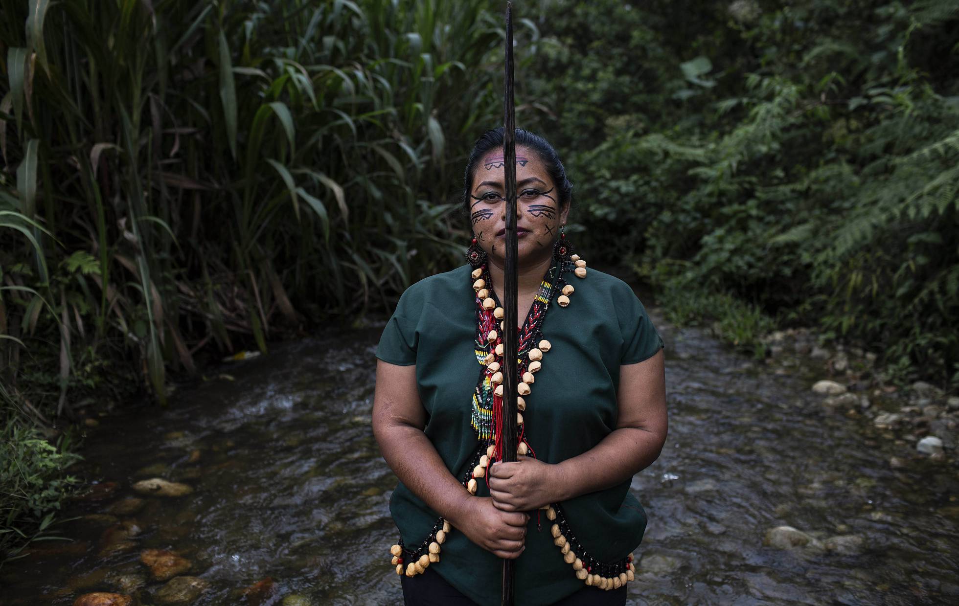 Guardia indigena