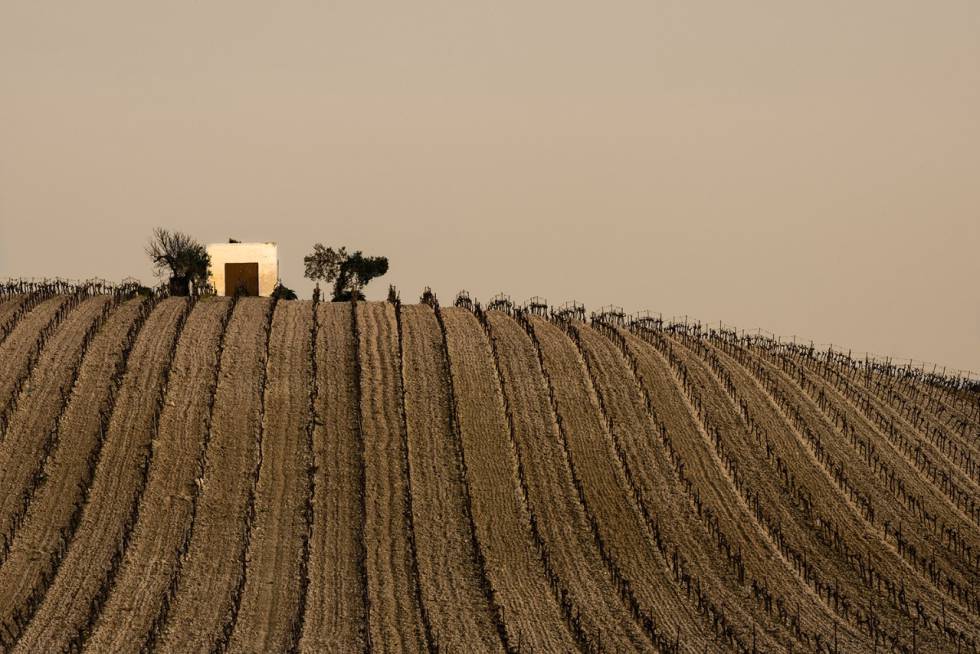 ‘Soledades del campo andaluz ’