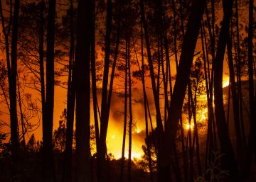El incendio de Lugo,en imágenes El incendio de Lugo,en imágenes