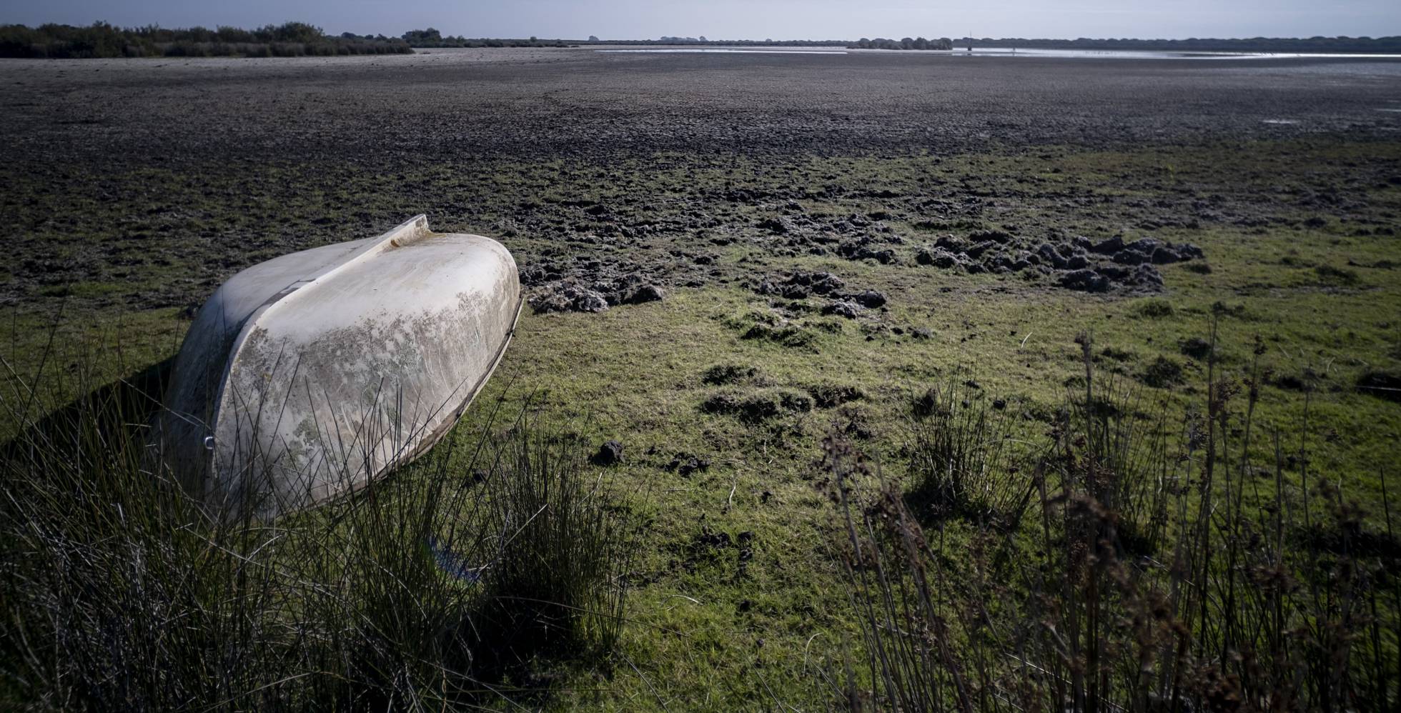 Las lagunas desaparecen de Doñana