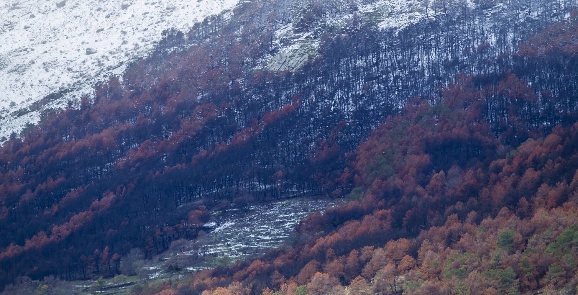 El cuarto mayor incendio de la historia de España, más de tres meses después