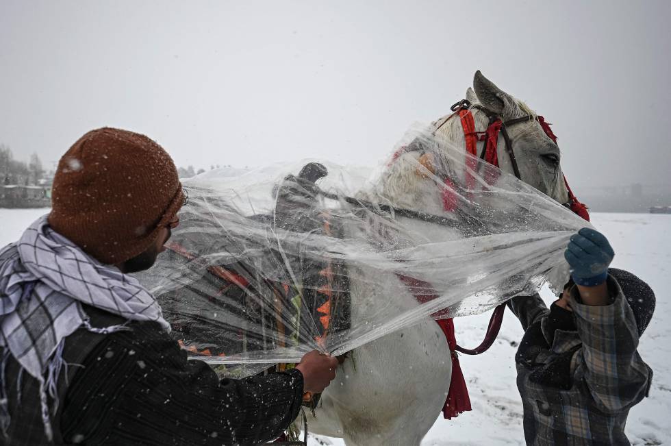 Dos hombres cubren su caballo durante una nevada en Kabul (Afganistán).