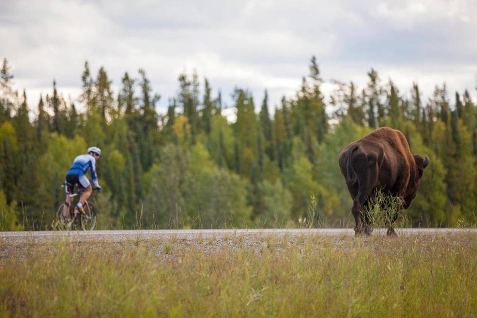 Mark Beaumont, durante su vuelta al mundo en bicicleta en 78 días