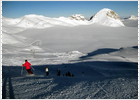 Las reinas del Valais