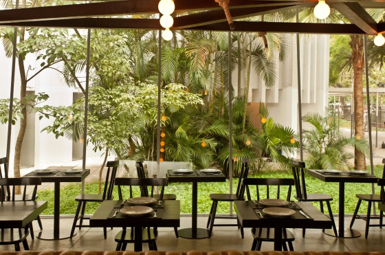 Muebles de diseño y paredes de cristal con vistas al jardín.