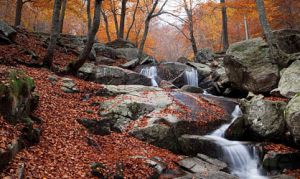 Paisaje otoñal en el parque natural del Montseny (Barcelona). Paisaje otoñal en el parque natural del Montseny (Barcelona).