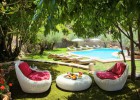 Olivos y diseño Olivos y diseño