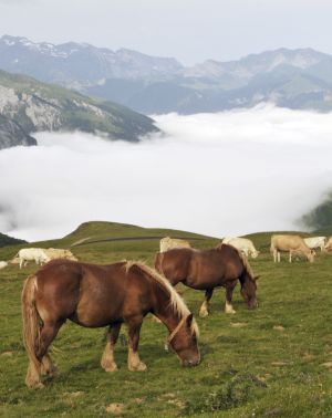 Vistas del valle de Ossau desde el col de l'Aubisque, en los Pirineos franceses.