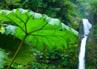Ruta de cascadas en Costa Rica Ruta de cascadas en Costa Rica