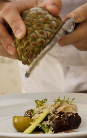 Lomo de corzo con piñas verdes ralladas, del cocinero Miguel Ángel de la Cruz, de La Botica de Matapozuelos (Valladolid). Lomo de corzo con piñas verdes ralladas, del cocinero Miguel Ángel de la Cruz, de La Botica de Matapozuelos (Valladolid).