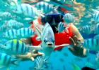 10 inmersiones en Filipinas 10 inmersiones en Filipinas