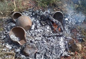 Tabajostes cociéndose directamente al fuego.
