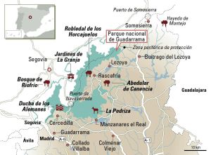Madrid tira al monte