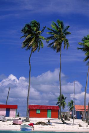Una aldea en Isla Saona (República Dominicana).