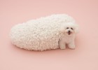 Las mejores casetas de perro Las mejores casetas de perro